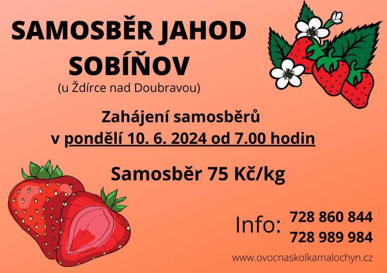 JAHODY SOBÍŇOV