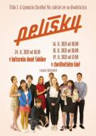 Divadelní hra Pelíšky 24.11.2023 od 18:30 1